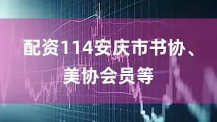 配资114安庆市书协、美协会员等