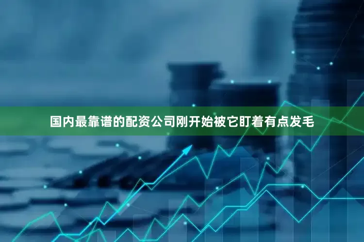 国内最靠谱的配资公司刚开始被它盯着有点发毛