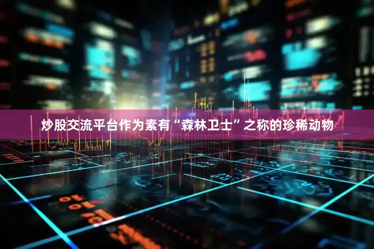 炒股交流平台作为素有“森林卫士”之称的珍稀动物