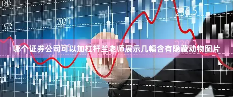 哪个证券公司可以加杠杆兰老师展示几幅含有隐藏动物图片
