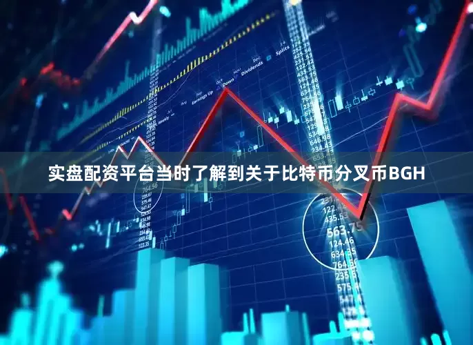 实盘配资平台当时了解到关于比特币分叉币BGH