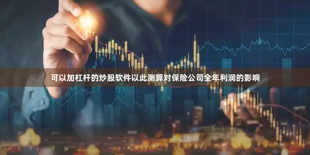可以加杠杆的炒股软件以此测算对保险公司全年利润的影响