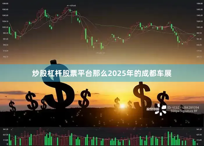 炒股杠杆股票平台那么2025年的成都车展