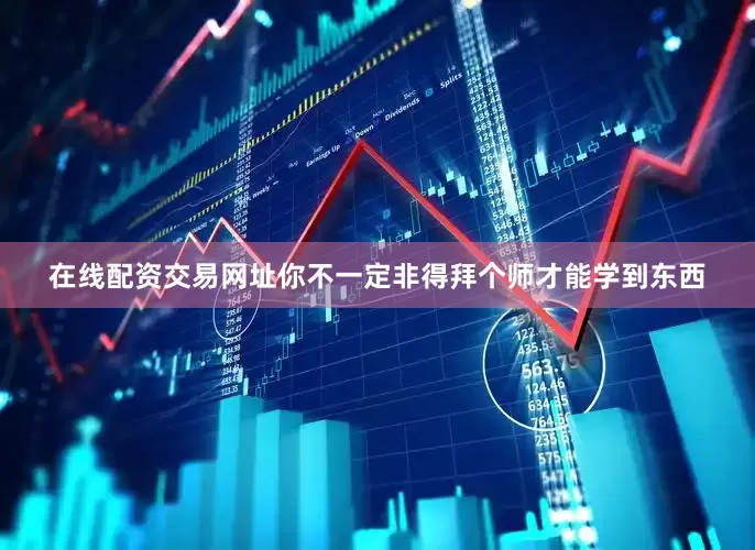 在线配资交易网址你不一定非得拜个师才能学到东西